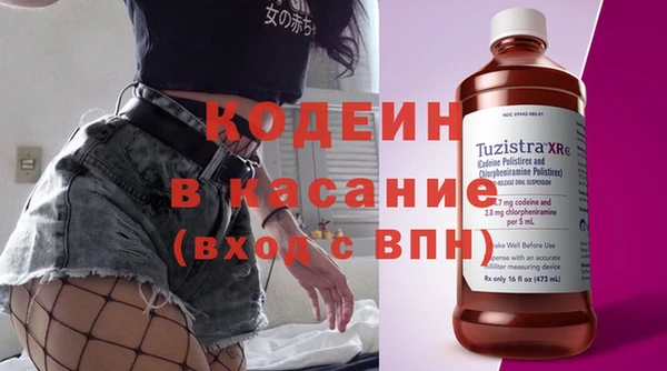 индика Касимов