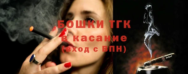 индика Касимов