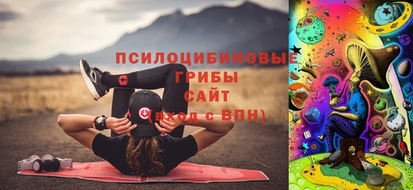 дмт Каменногорск