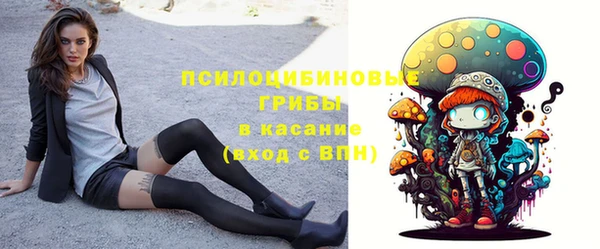 apvp Киренск