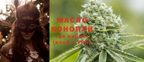 индика Касимов