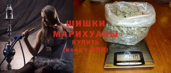 индика Касимов