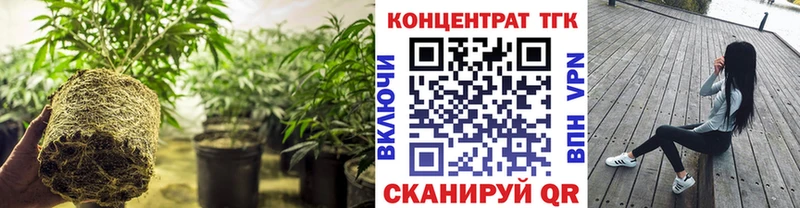 KRAKEN как зайти Касли ТГК жижа